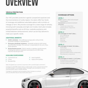 VSC Sell Sheet (Quantity 5)